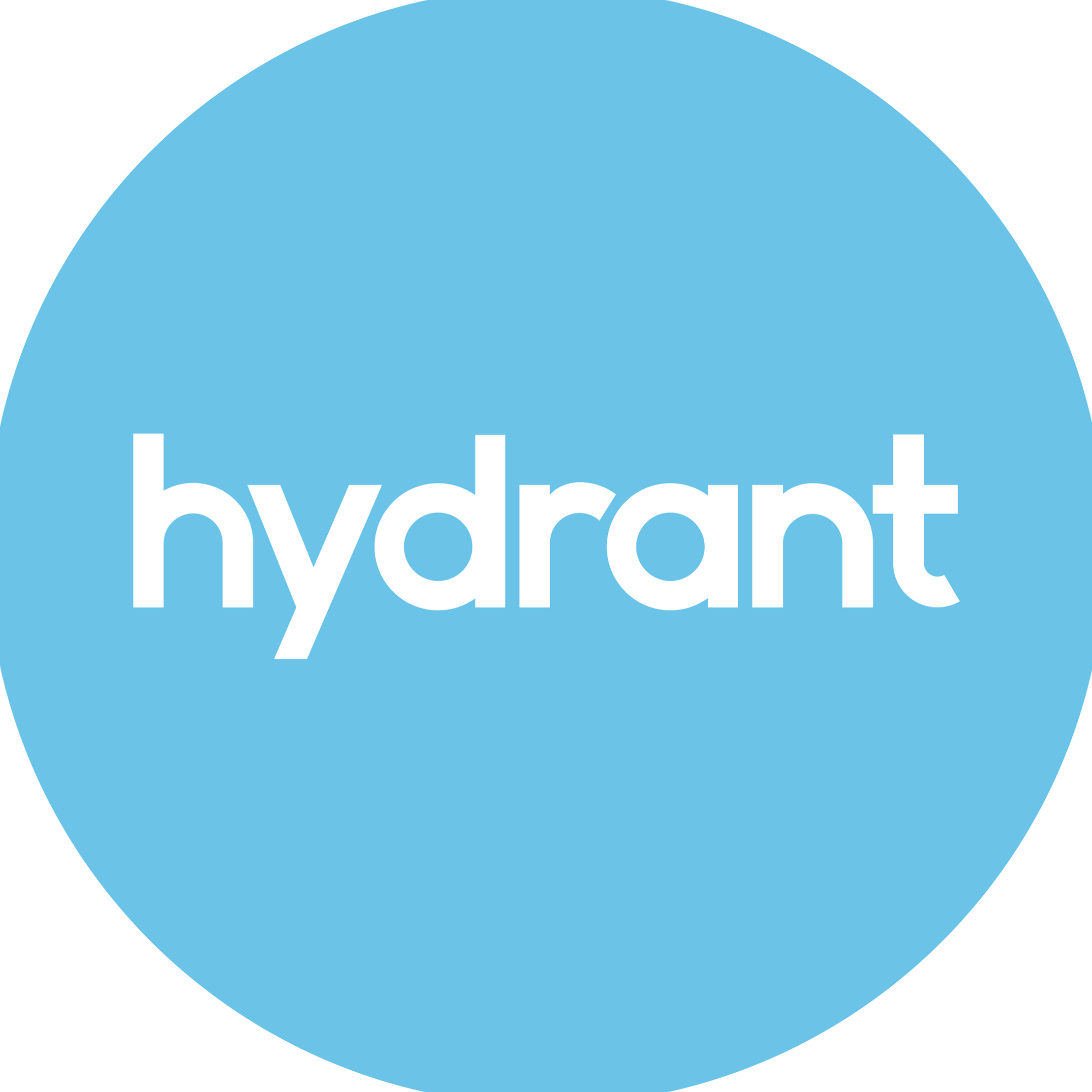 Hydrant Logo