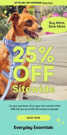 Email from Wild One. Up To 25% Off Our Walk Kit