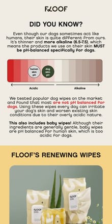 Email from Floof. Are Your Dog's Wipes Ruining Their Skin? The Truth About pH Balance