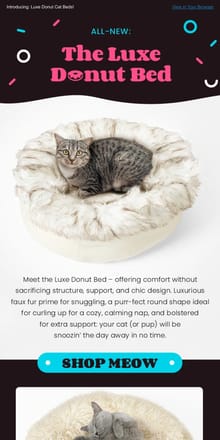 Email from Meowingtons. Cats Will GO NUTS For These DONUTS 🍩