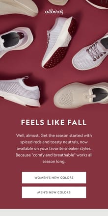 Email from Allbirds. New Colors For Fall 🍁