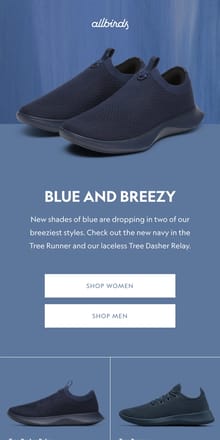 Email from Allbirds. Get The Blues 🔵