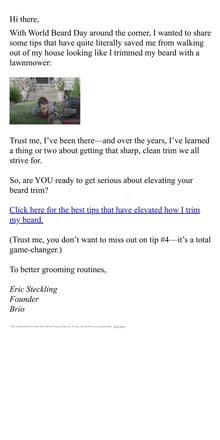 Email from Brio Product Group. Want a sharper beard? Read this.