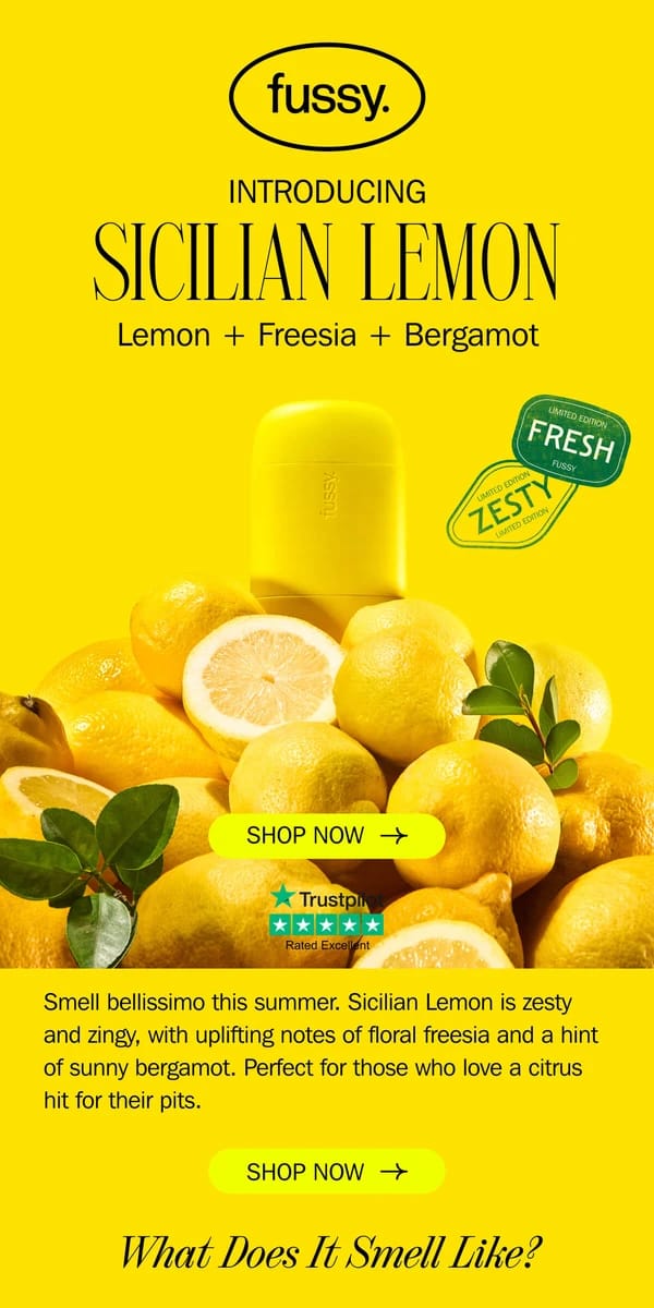 Email from undefined. Make the zest of it 🌳🍋💛