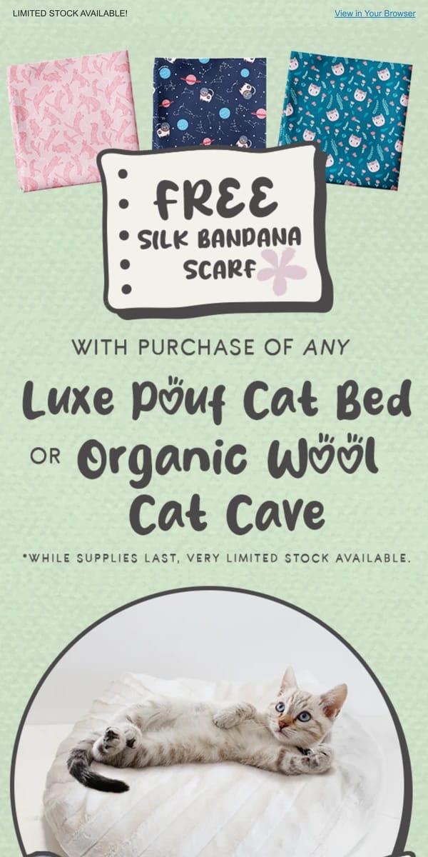 Email from undefined. 30% OFF Cat Beds + FREE Silk Scarf = Purr-fection! 😻