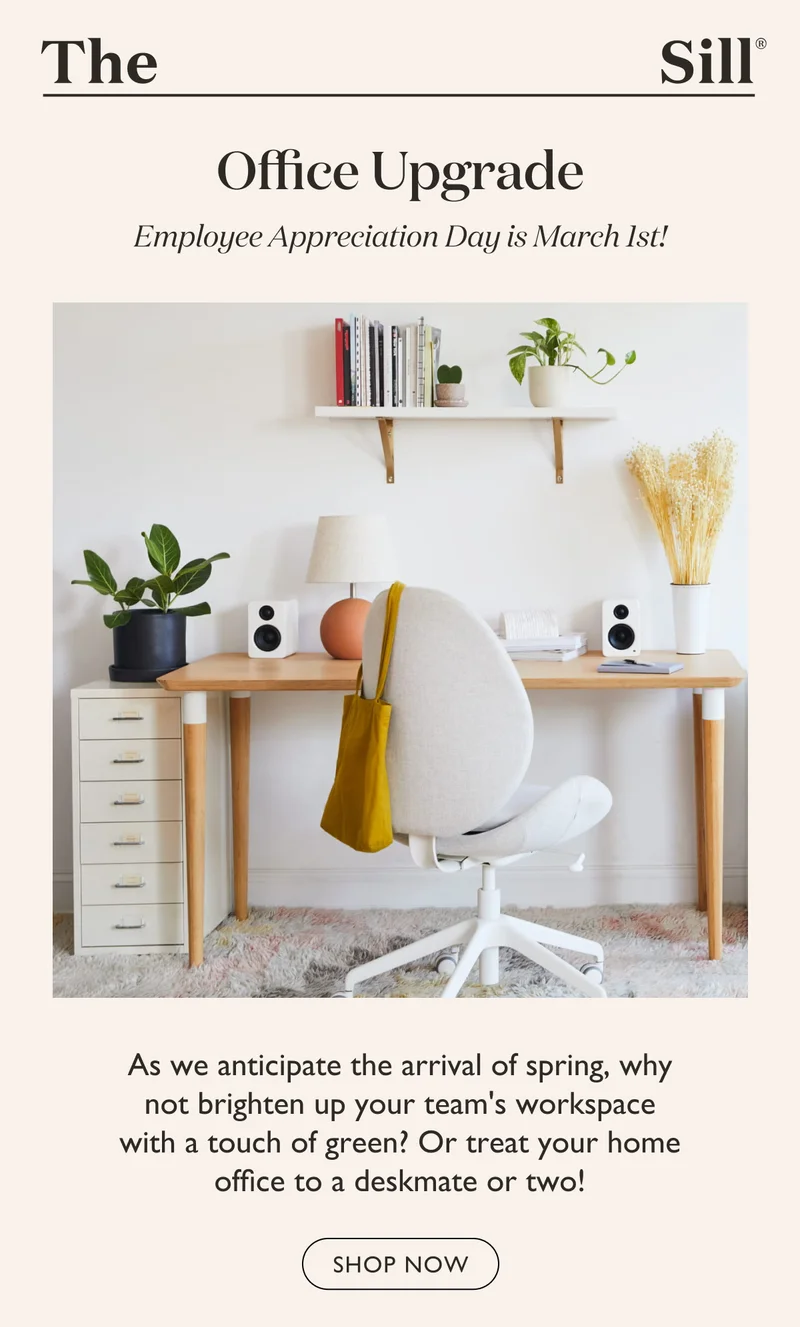 As we anticipate the arrival of spring, why not brighten up your team's workspace with a touch of green? Or treat your home office to a deskmate or two!