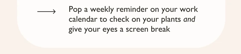 Pop a weekly reminder on your work calendar to check on your plants and give your eyes a screen break.
