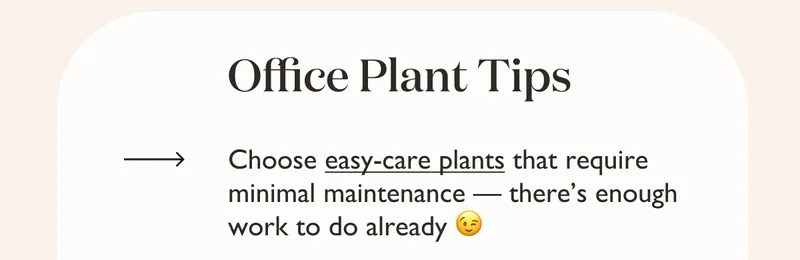 Choose easy-care plants that require minimal maintenance - there's enough work to do already!
