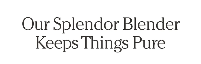Our Splendor Blender Keeps Things Pure