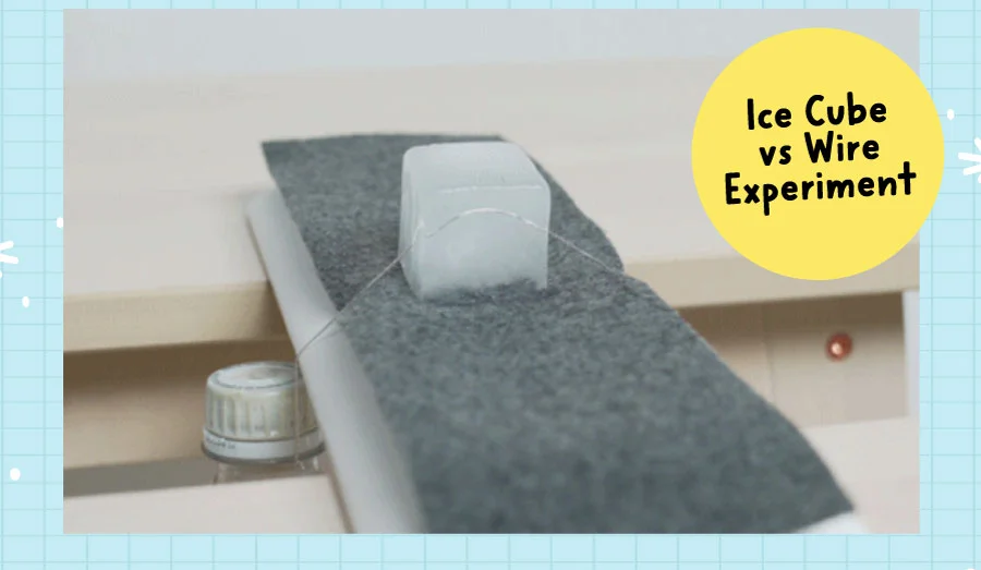 Ice Cube vs Wire Experiment