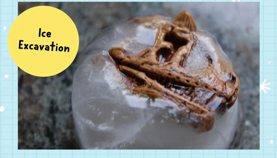 Ice Excavation