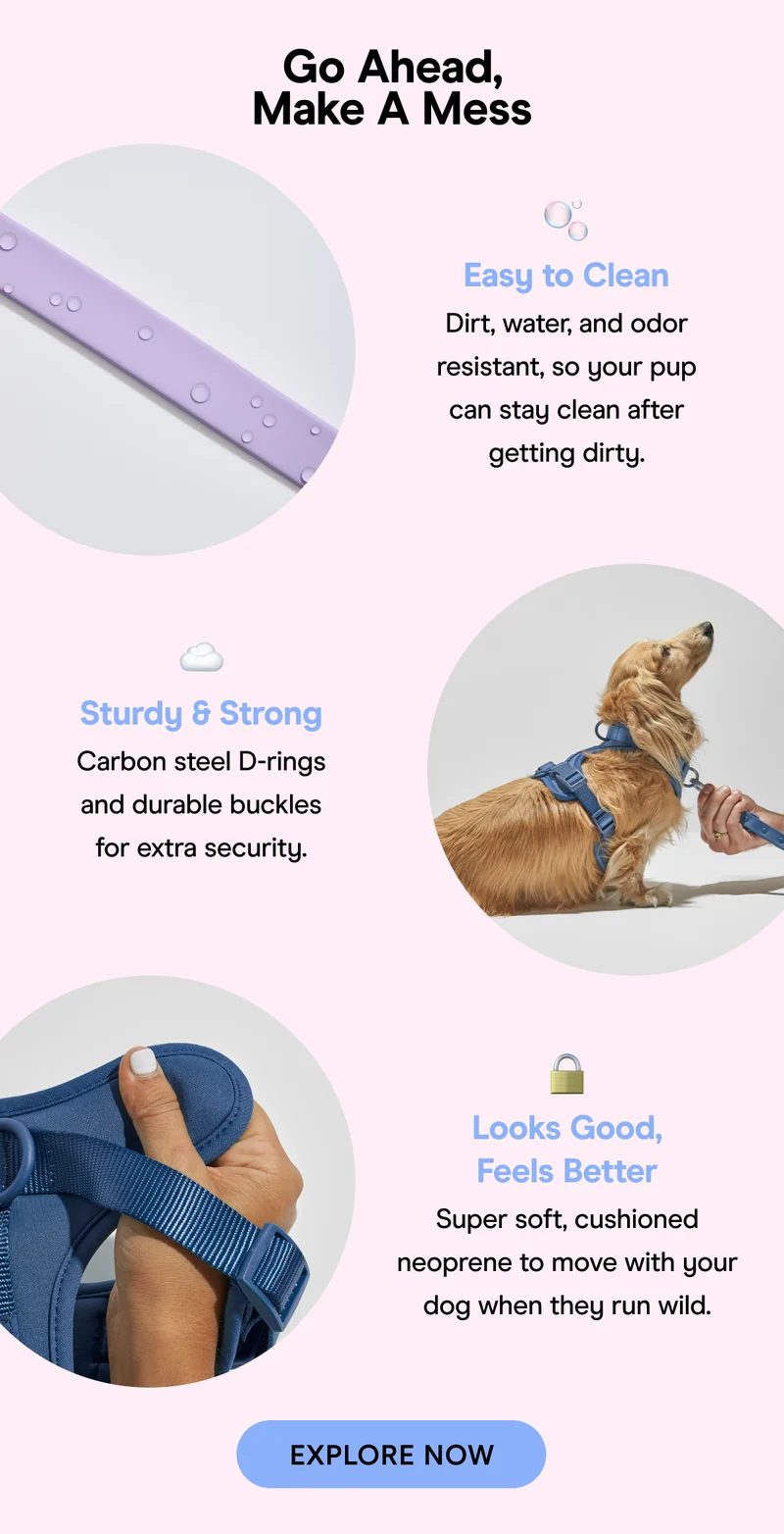 Go Ahead, Make A Mess 🫧 Easy to Clean Dirt, water, and odor resistant, so your pup can stay clean after getting dirty.  ☁️ Sturdy & Strong Carbon steel D-rings and durable buckles for extra security. 🔒 Looks Good, Feels Better Super soft, cushioned neoprene to move with your dog when they run wild.