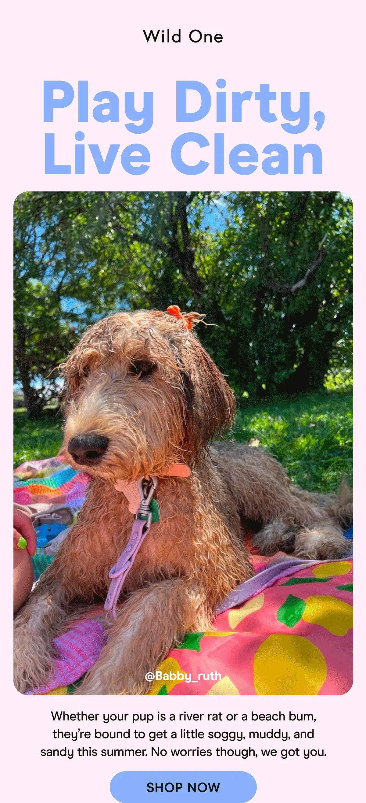 Whether your pup is a river rat or a beach bum, they’re bound to get a little soggy, muddy, and sandy this summer. No worries though, we got you.