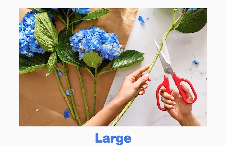 Large