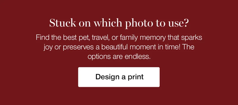 Stuck on which photo to use? Find the best pet, travel, or family memory that sparks joy or preserves a beautiful moment in time! The options are endless.