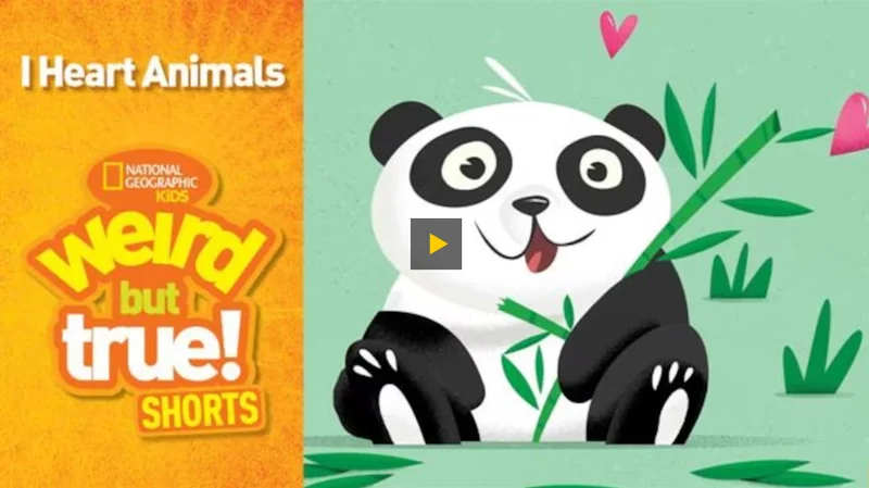 Animal Hearts Quiz