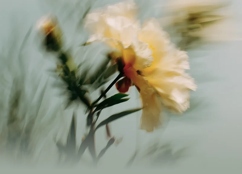 What she´ll reach for, every day.