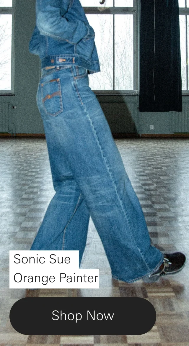 Sonic Sue Orange Painter