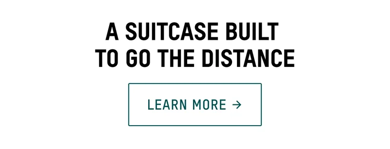Buy luggage now
