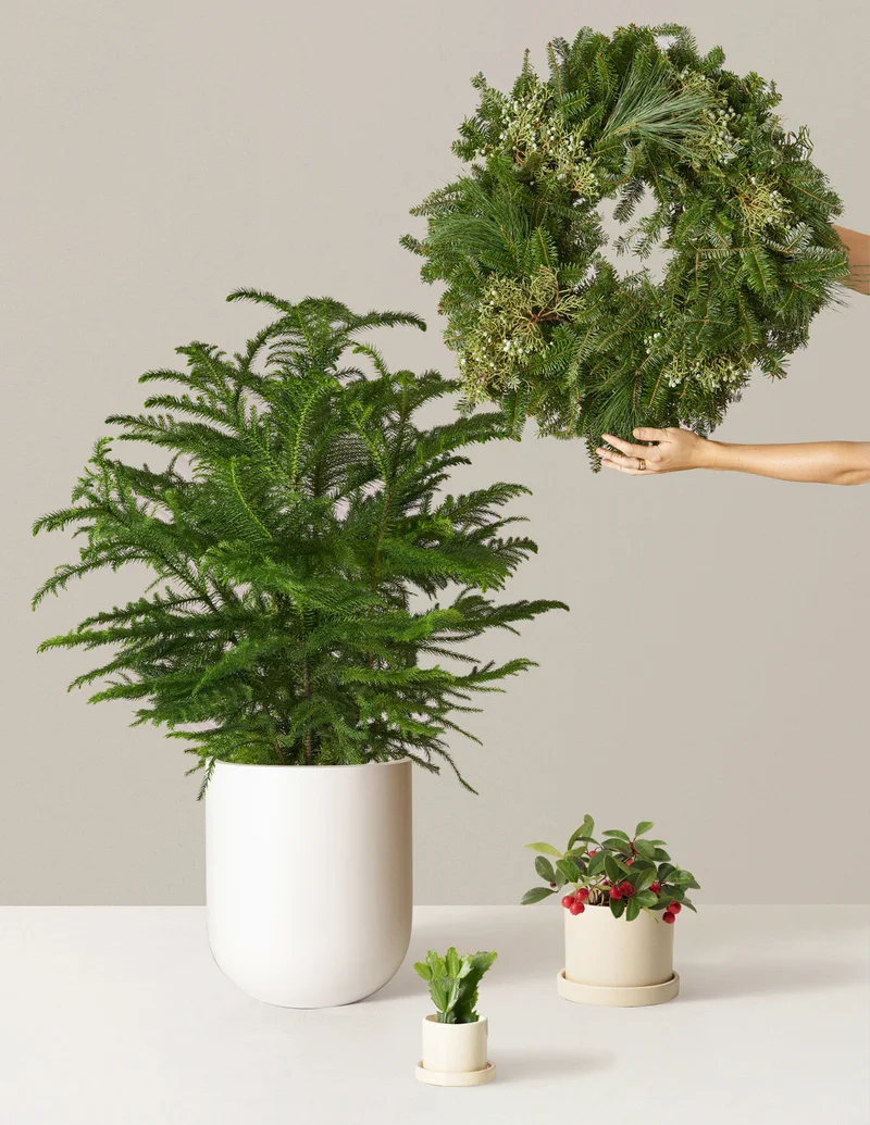Image of Home for the Holidays Bundle