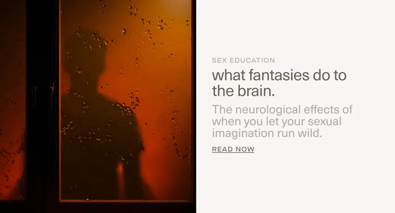 SEX EDUCATION | What fantasies do to the brain.. | The neurological effects&nbsp;of when you let your sexual imagination run wild. | Read Now
