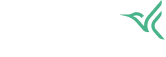 arlo