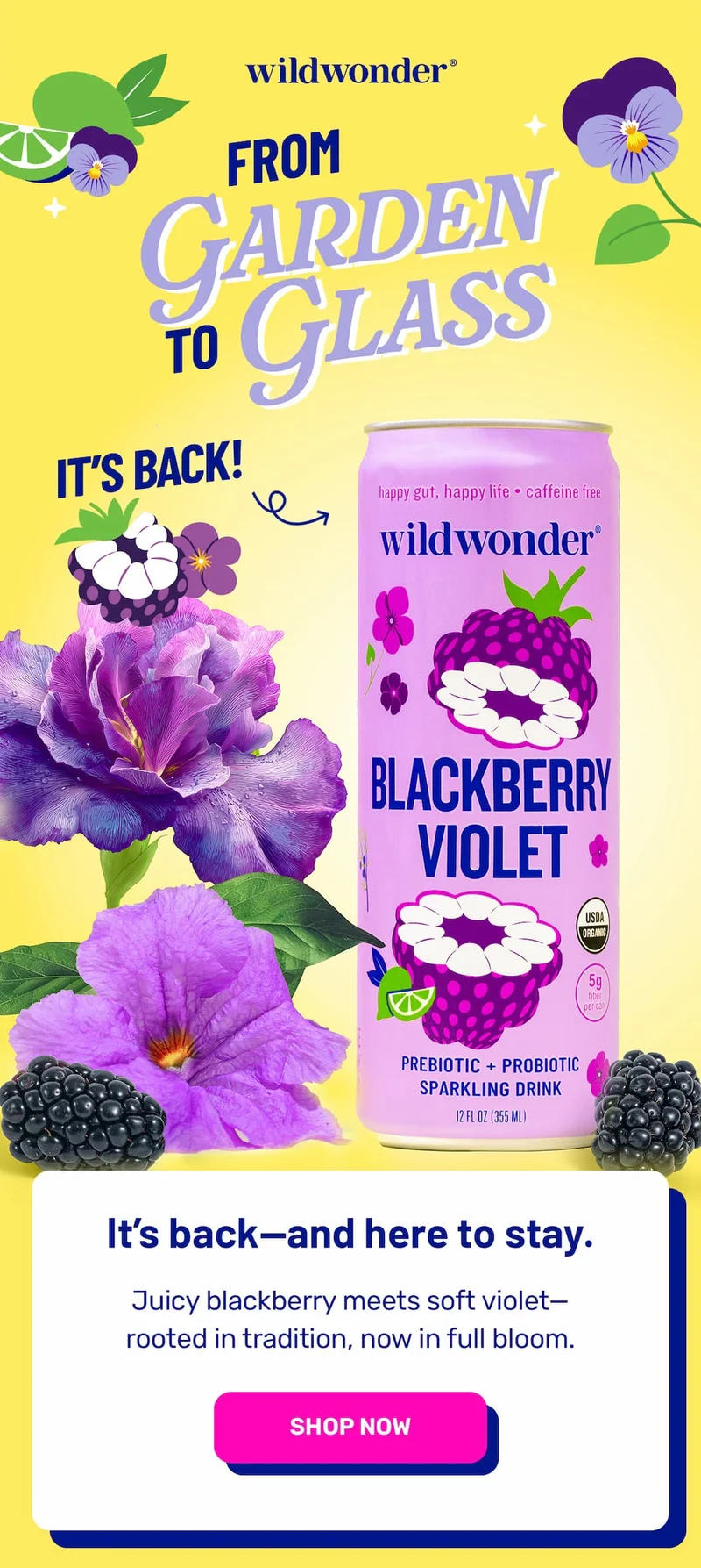 Meet Blackberry Violet