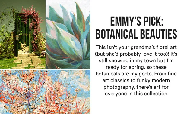 Emmy’s Pick: Botanical Beauties - This isn’t your grandma’s floral art (but she’d probably love it too)! It’s still snowing in my town but I’m ready for spring, so these botanicals are my go-to. From fine art classics to funky modern photography, there’s art for everyone in this collection.