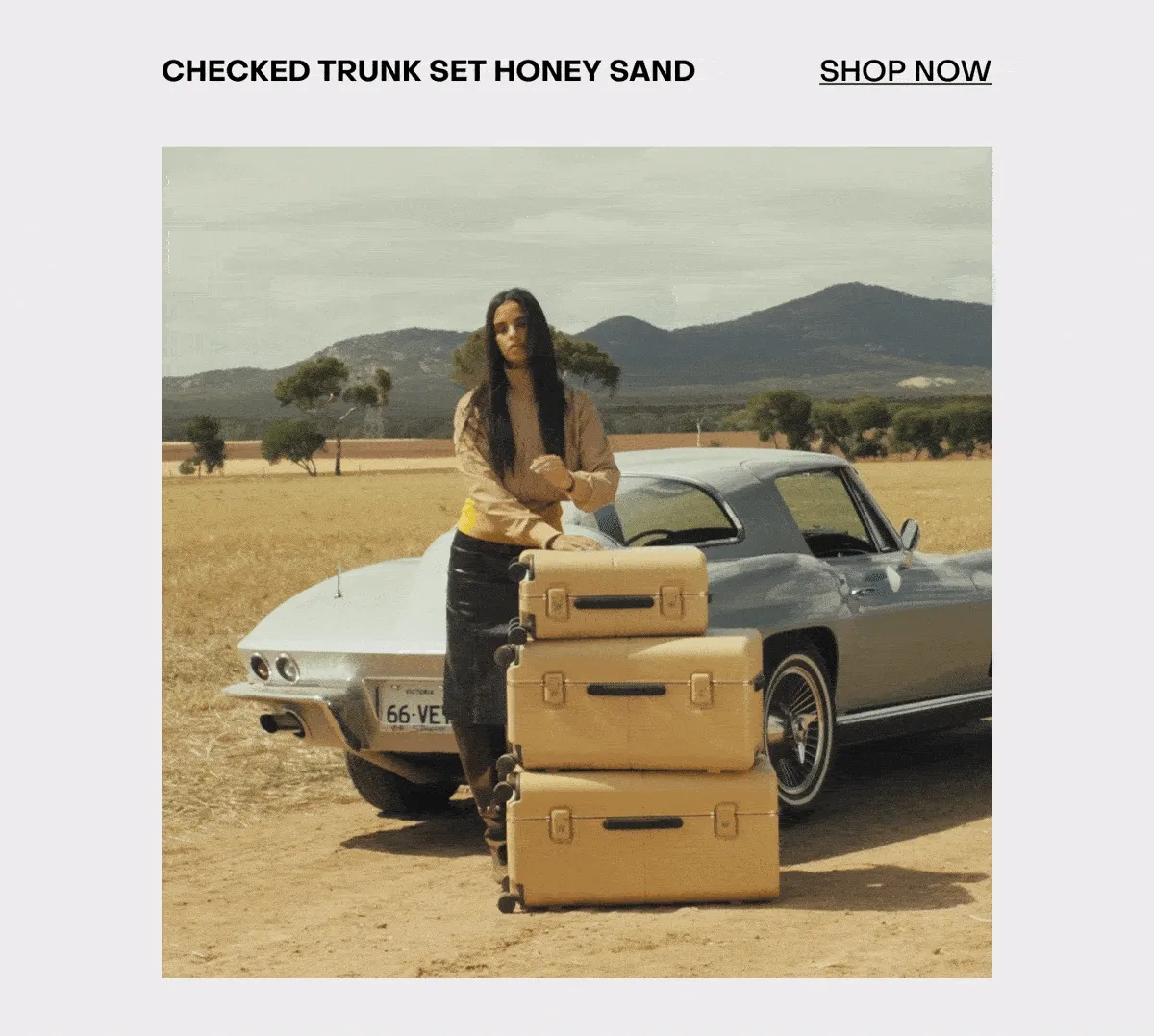 Checked Trunk Set Honey Sand