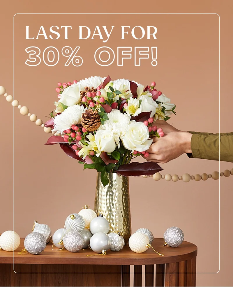 Last Day For 30% Off!