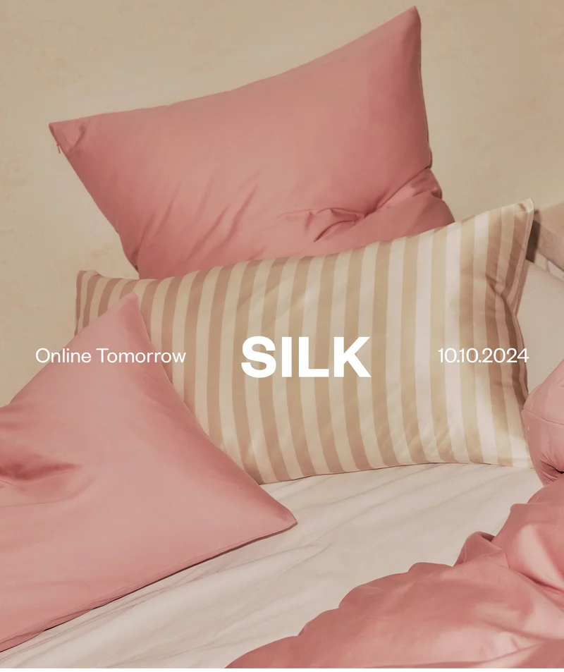 Online Tomorrow: Silk