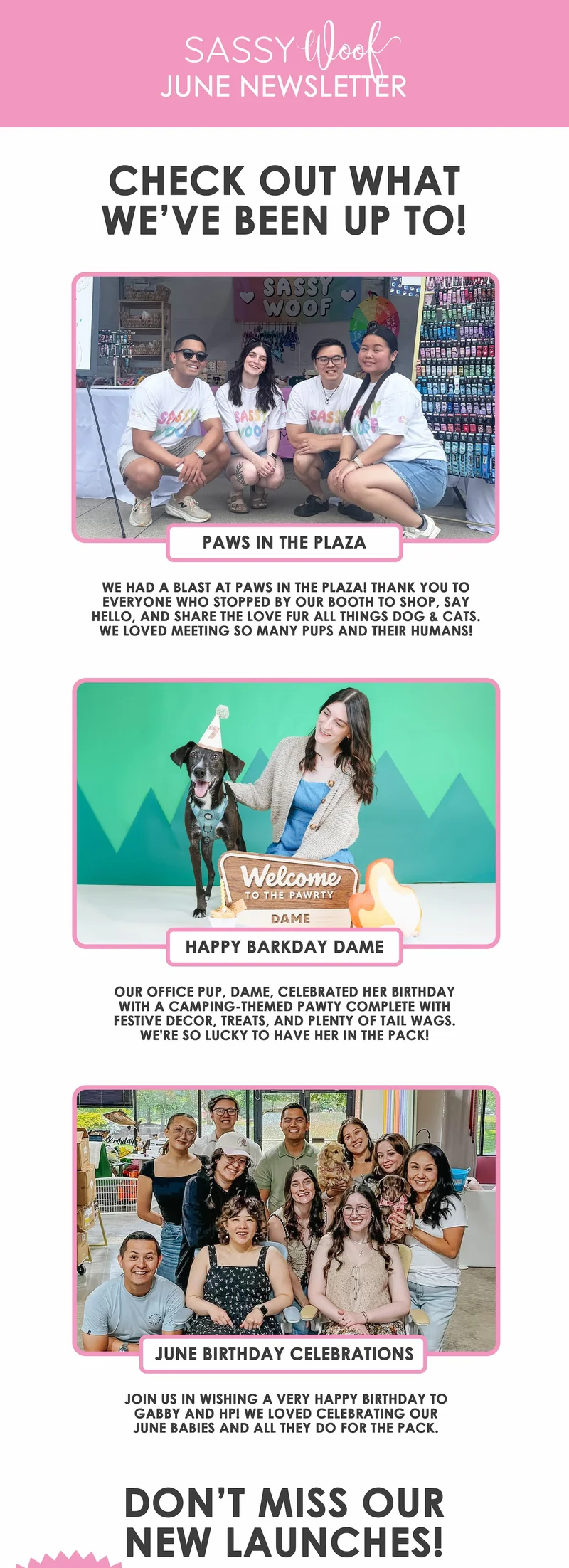 an image of the sassy woof team together for events and fun