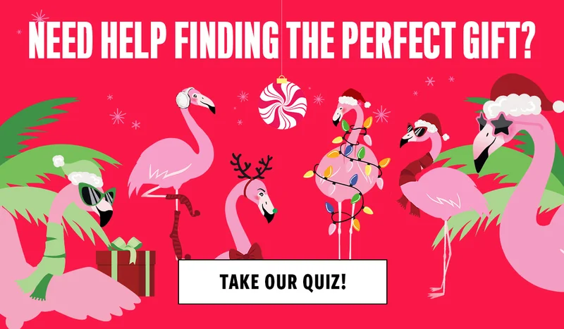 NEED HELP FINDING THE PERFECT GIFT?