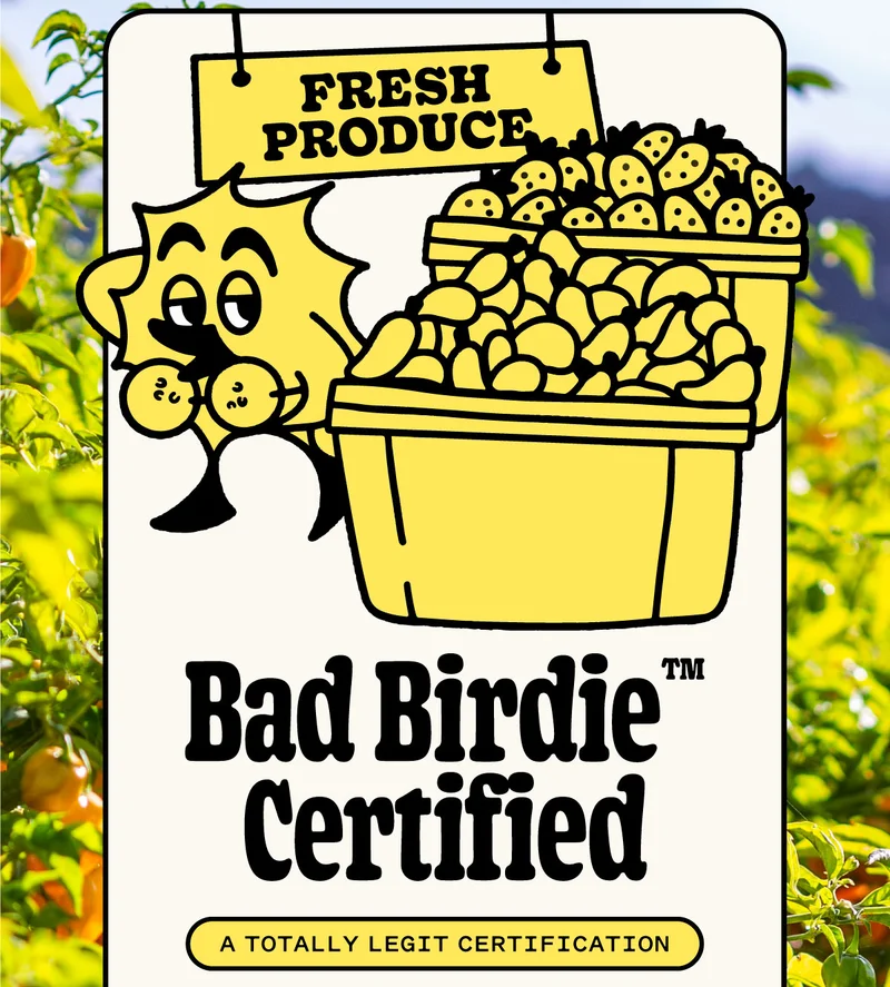 Illustration of Yellowbird mascot wearing a coconut bra with a sexy look and standing next to baskets of peppers and strawberries
