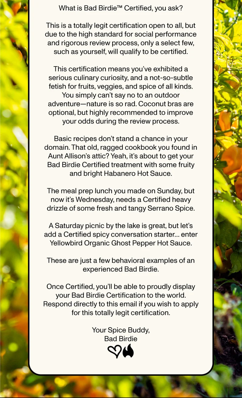 Bad Birdie Certification Process and Standards