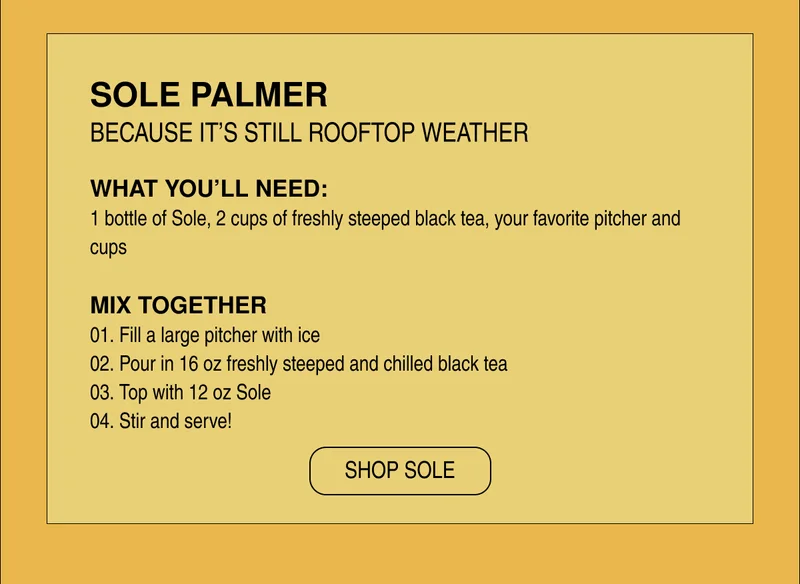SOLE PALMER | BECAUSE IT'S STILL ROOFTOP WEATHER