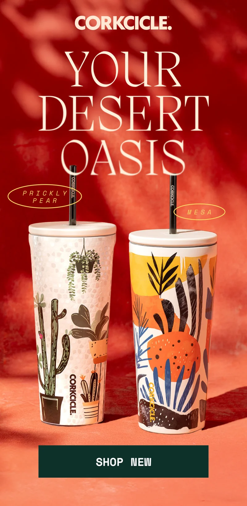 Shop Mesa and Prickly Pear