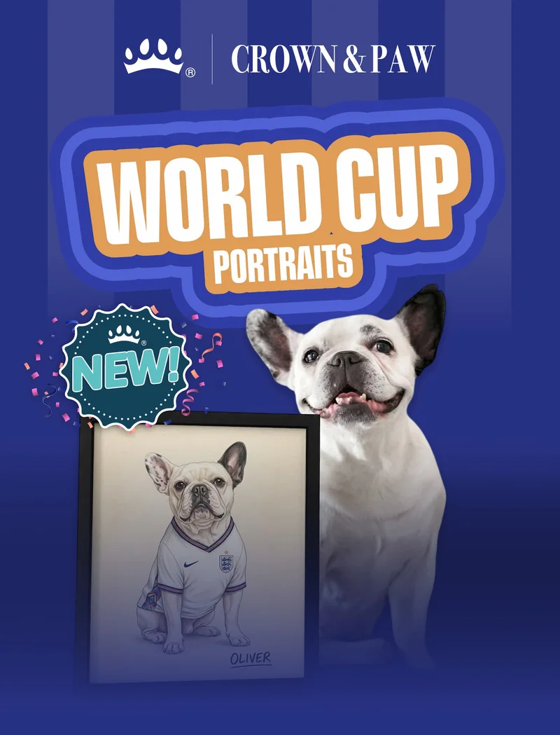 NEW! WORLD CUP PORTRAITS