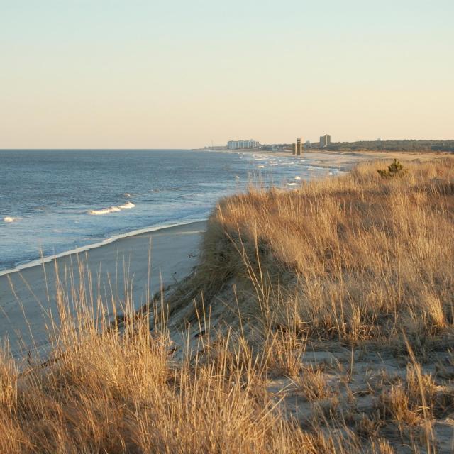 Rehoboth Beach