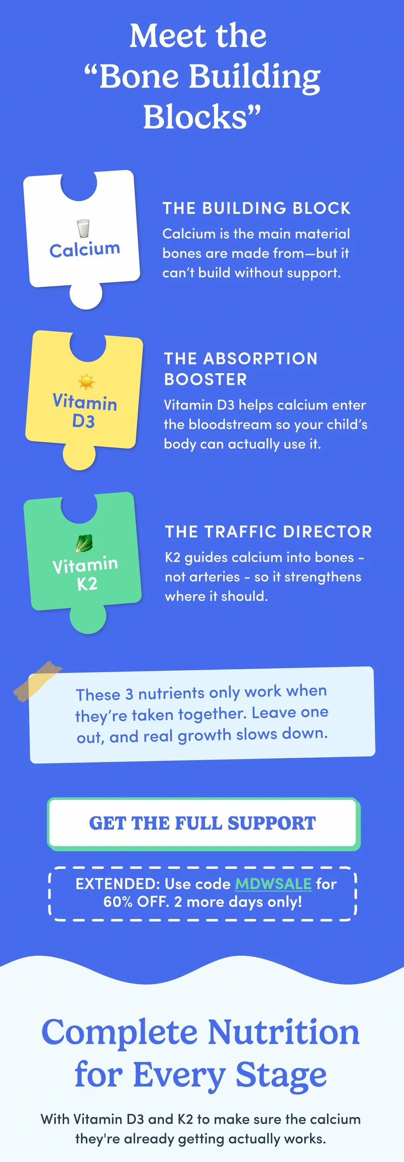 Meet the "Bone Building Blocks"
