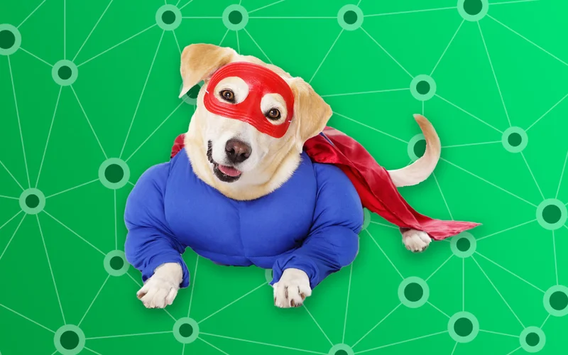 golden retriever dog dressed like a super hero