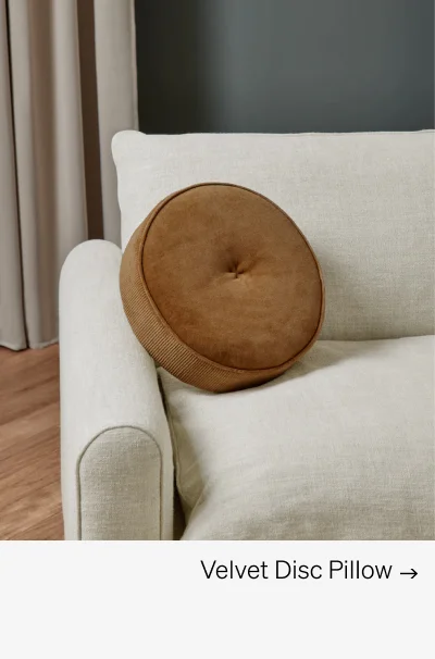 Shop Velvet Disc Pillow