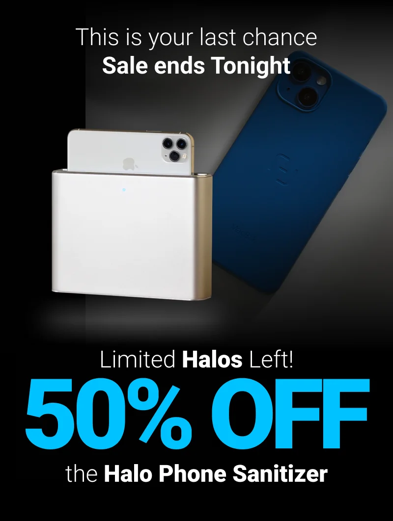 Flash Sale