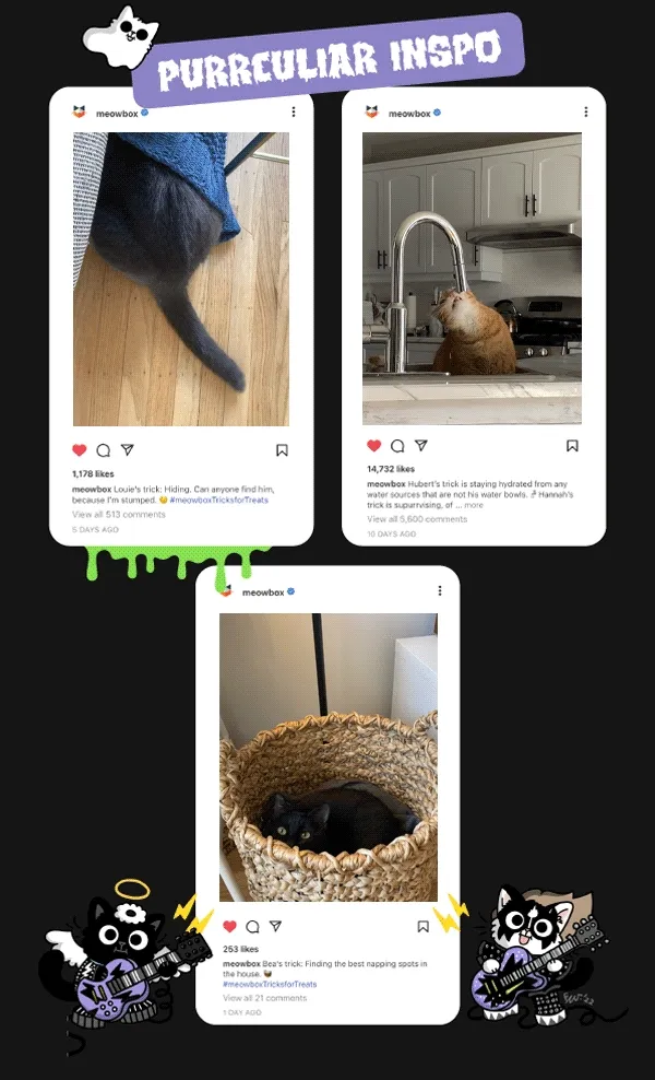 Purrculiar Inspo: Instagram Post of Louie's trick: Hiding. Instagram Post of Hubert's trick: Staying hydrated from any water sources that are not his water bowl. Instagram Post of Bea's trick: Finding the best napping spots in the house