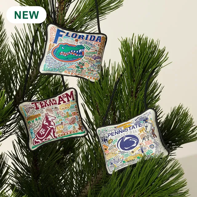 Embroidered College Pillow Ornament