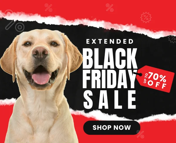 Black Friday Sale