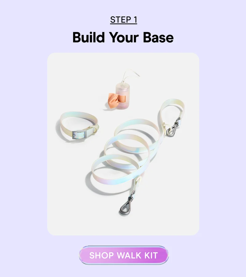 Shop Walk Kit