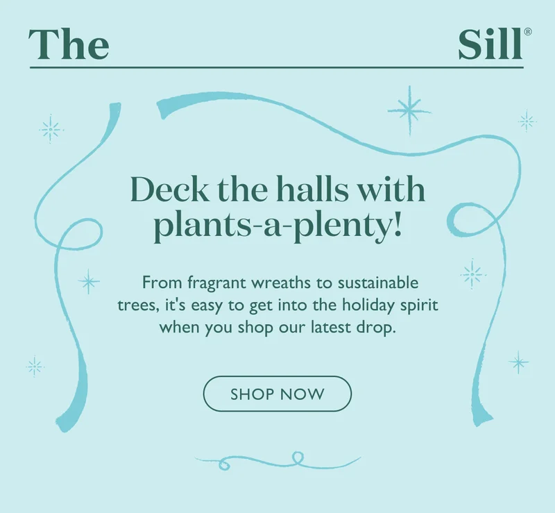 Deck the halls with plants-a-plenty! From fragrant wreaths to sustainable trees, it's easy to get into the holiday spirit when you shop The Sill.