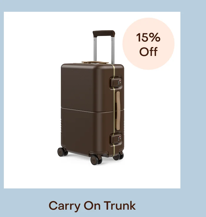 Carry On Trunk