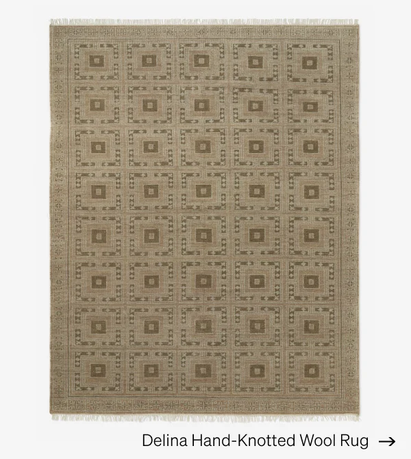 Shop Delina Rug